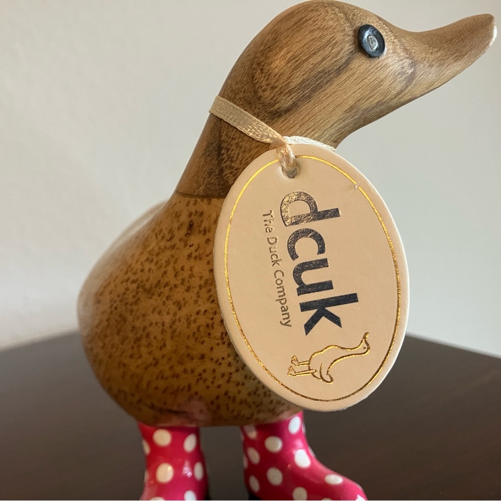 Duck Duck with Polkadot Rainboots. Named Peter. Excellent Condition.